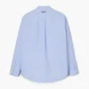 LA CAMICIA A RIGHE LA CAMICIA A RIGHE