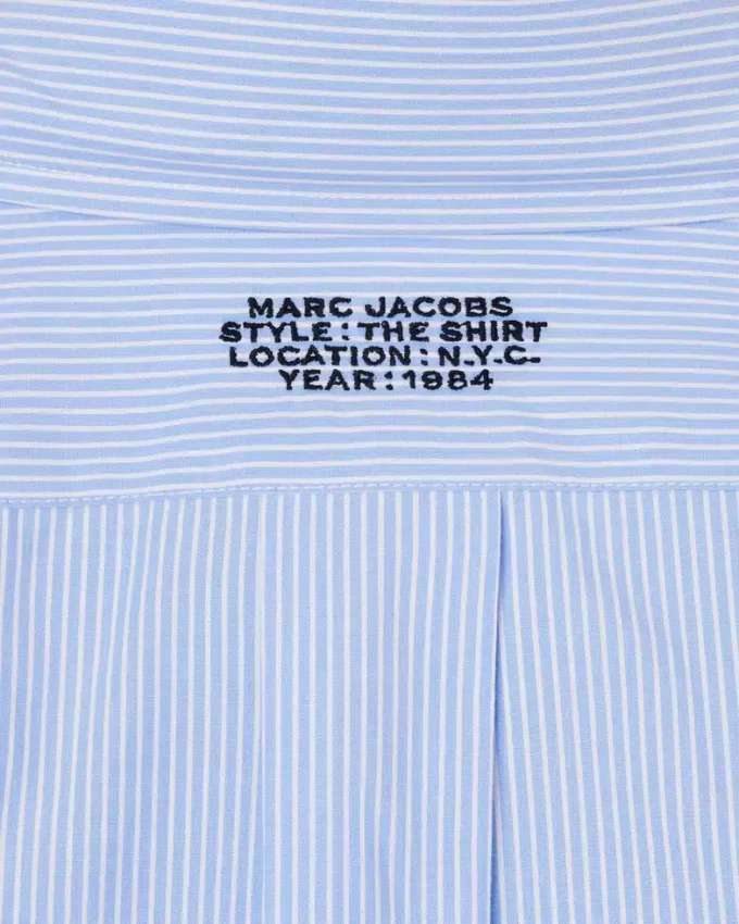 LA CAMICIA A RIGHE LA CAMICIA A RIGHE
