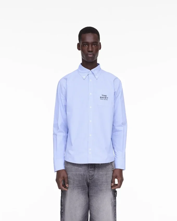 LA CAMICIA A RIGHE LA CAMICIA A RIGHE