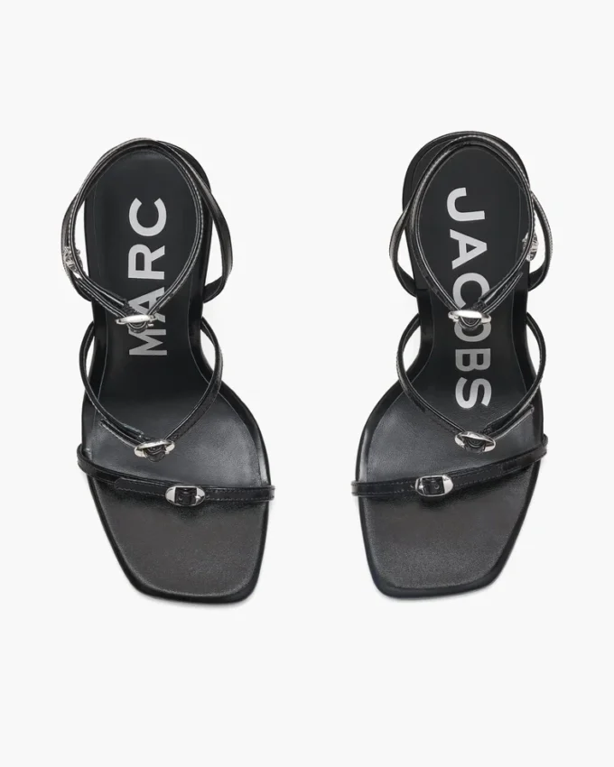 Tacco Daisy
